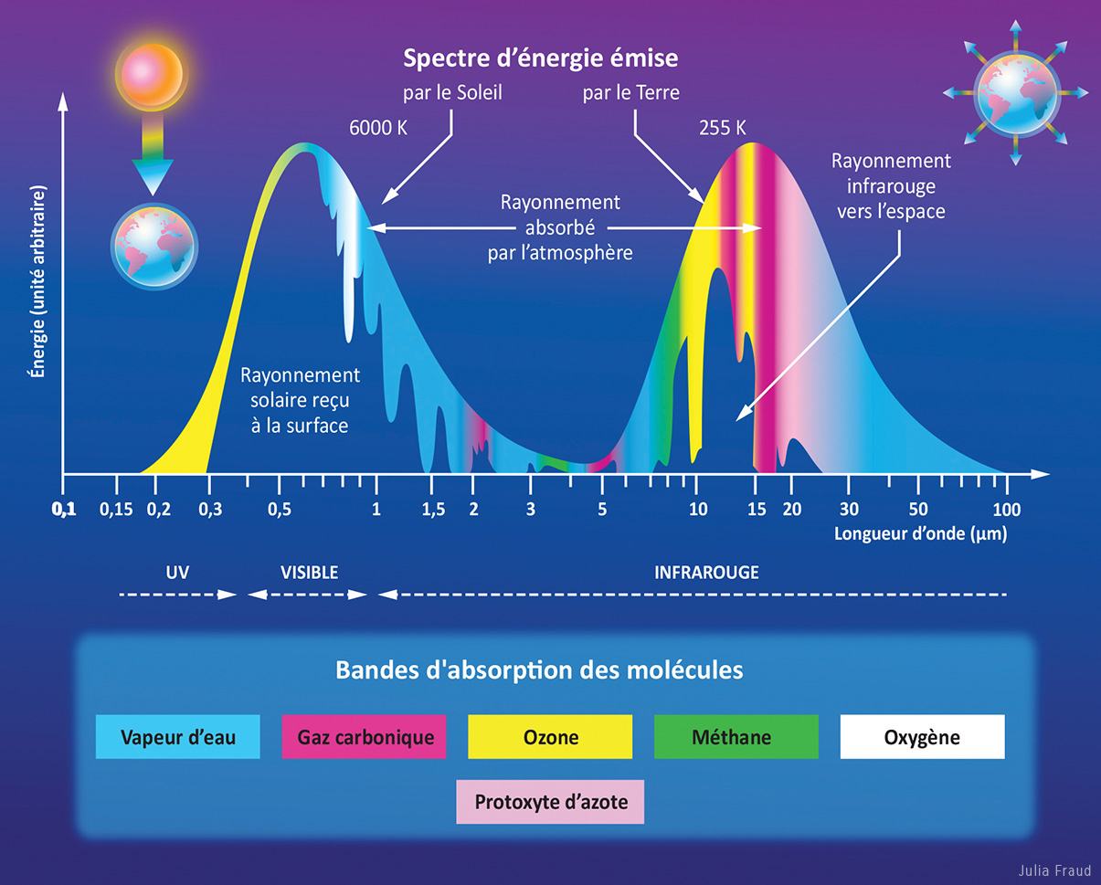 Science